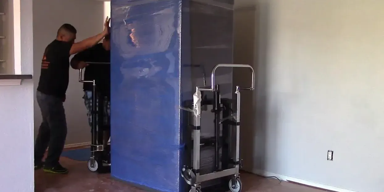 Action behind the move
